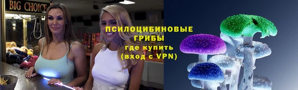 крисы Белоозёрский