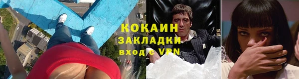 ГАЛЛЮЦИНОГЕННЫЕ ГРИБЫ Белокуриха