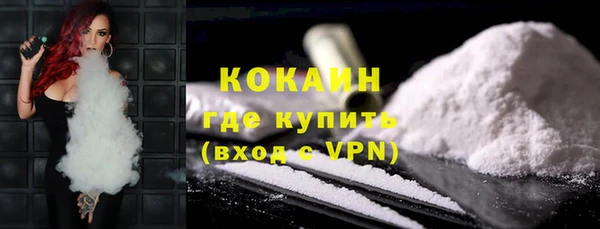 прущие грибы Беломорск