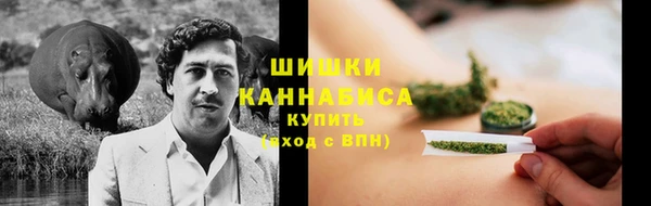 прущие грибы Беломорск