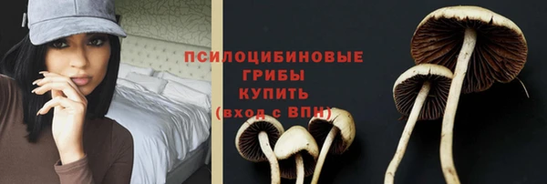 крисы Белоозёрский
