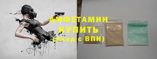 прущие грибы Беломорск