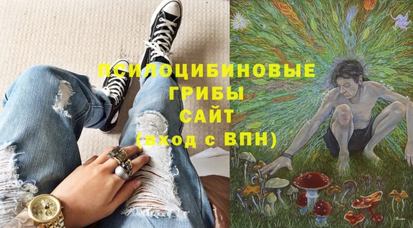 прущие грибы Беломорск