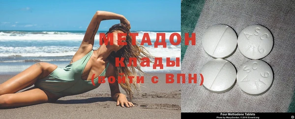 прущие грибы Беломорск