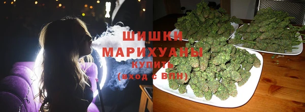 прущие грибы Беломорск