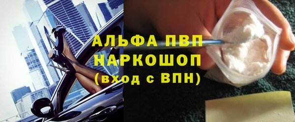 прущие грибы Беломорск