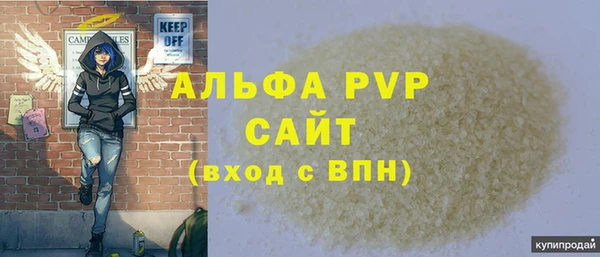 ГАЛЛЮЦИНОГЕННЫЕ ГРИБЫ Белокуриха